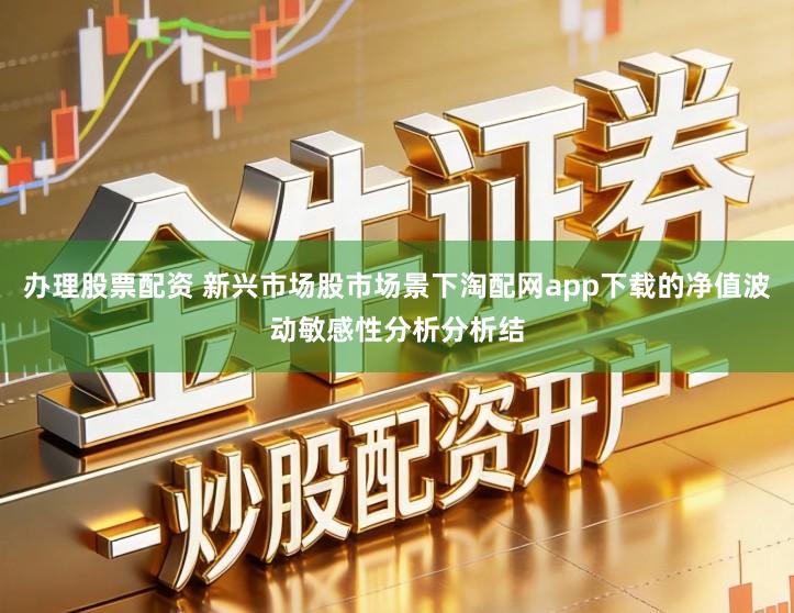 办理股票配资 新兴市场股市场景下淘配网app下载的净值波动敏感性分析分析结