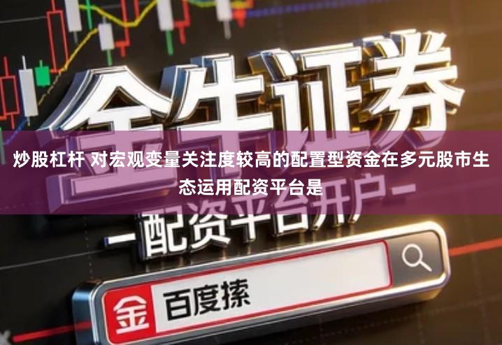 炒股杠杆 对宏观变量关注度较高的配置型资金在多元股市生态运用配资平台是