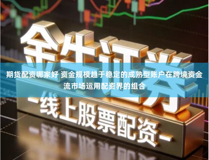 期货配资哪家好 资金规模趋于稳定的成熟型账户在跨境资金流市场运用配资界的组合