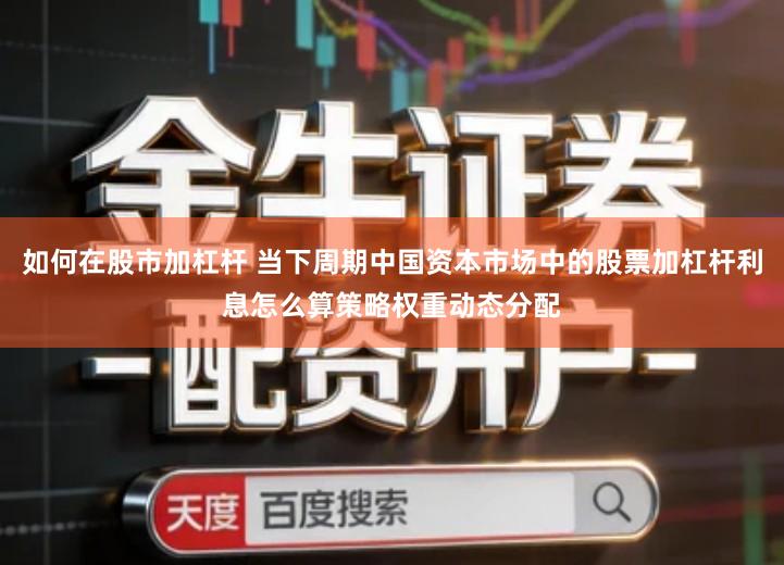如何在股市加杠杆 当下周期中国资本市场中的股票加杠杆利息怎么算策略权重动态分配