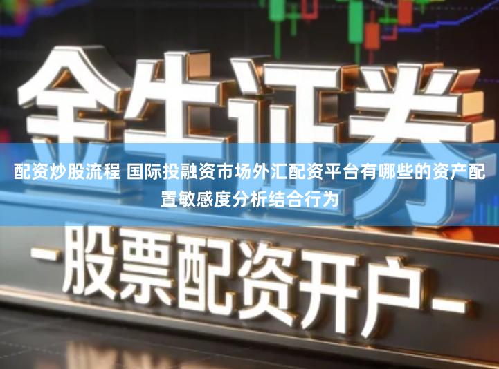 配资炒股流程 国际投融资市场外汇配资平台有哪些的资产配置敏感度分析结合行为