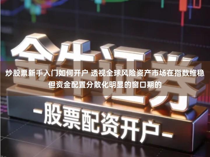 炒股票新手入门如何开户 透视全球风险资产市场在指数维稳但资金配置分散化明显的窗口期的
